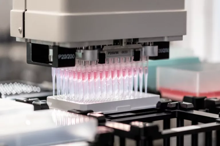 A mechanic drug screening assay