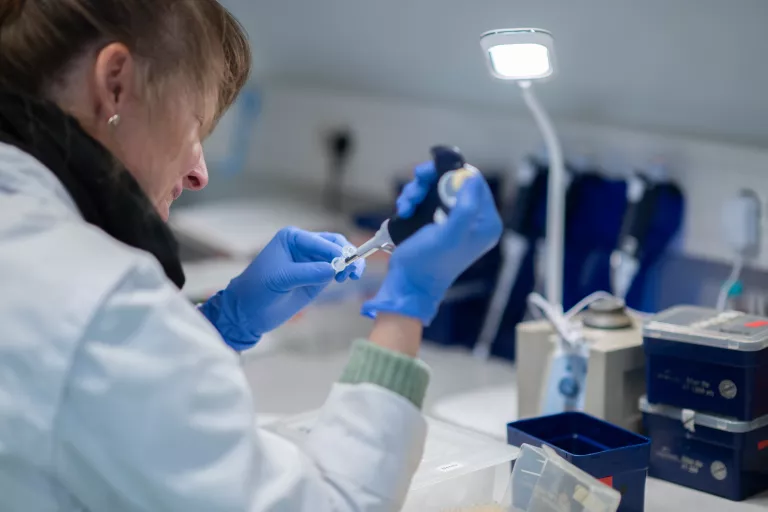 A technician from our Center in the lab pipetting in an eppendorf