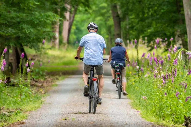 Stock image of two people riding their bicycles down a country lane