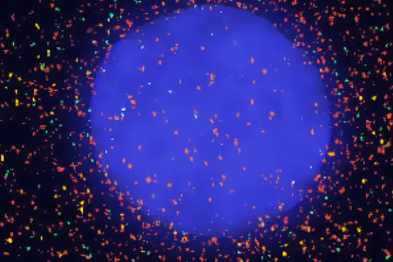 KU Leuven Institute for Single Cell Omics