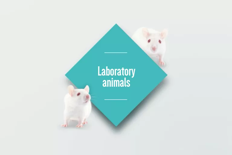 The words Laboratory Animals in a turquoise diamond with two white mice