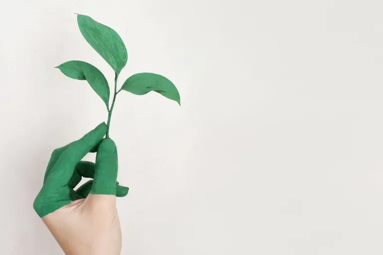 Sustainability at KU Leuven
