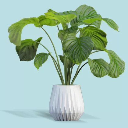 A placeholder household plant in a vase against a blue background
