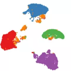 Representative cell annotation plots in blue, green, red, and purple from the Mylka et al. (2022) paper in Genome Biology (Stein Aerts Lab, VIB-KU Leuven Center for Brain & Disease Research)